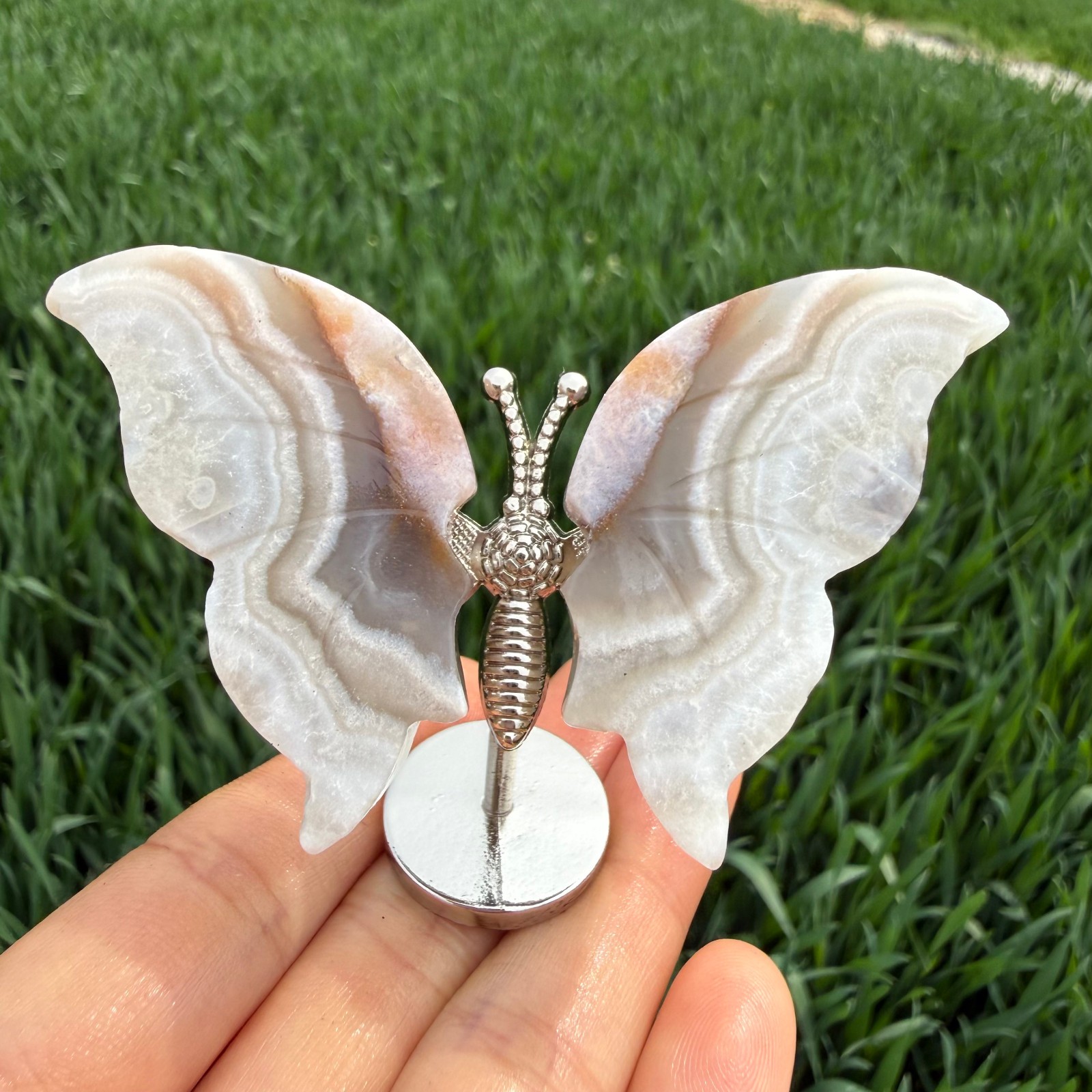 5pc 3” A pair Natural unknown Butterfly Wing Reiki Crystal Skull Decor