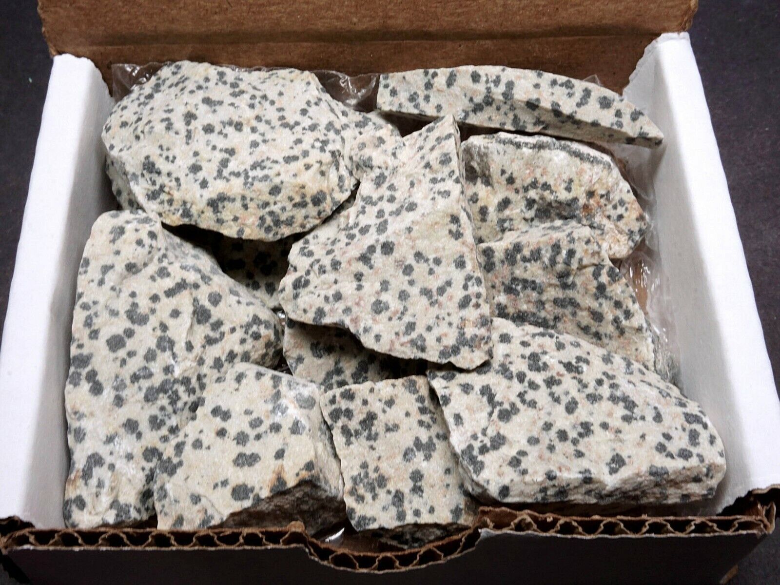 Dalmation Jasper Collection 1/2 LB Natural Black & White Mineral Specimens