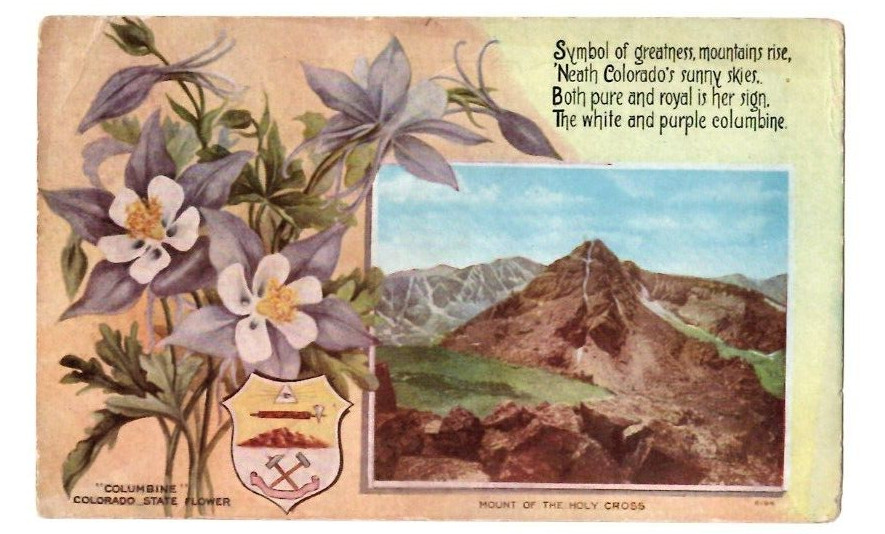 Symbol of Great Mountains Colorado Postcard Columbines 1910 Mt of the Holy Cross