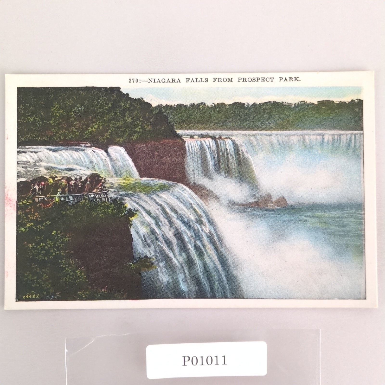 Niagara Falls from Prospect Park New York Early 1900s Postcard Antique Unposted