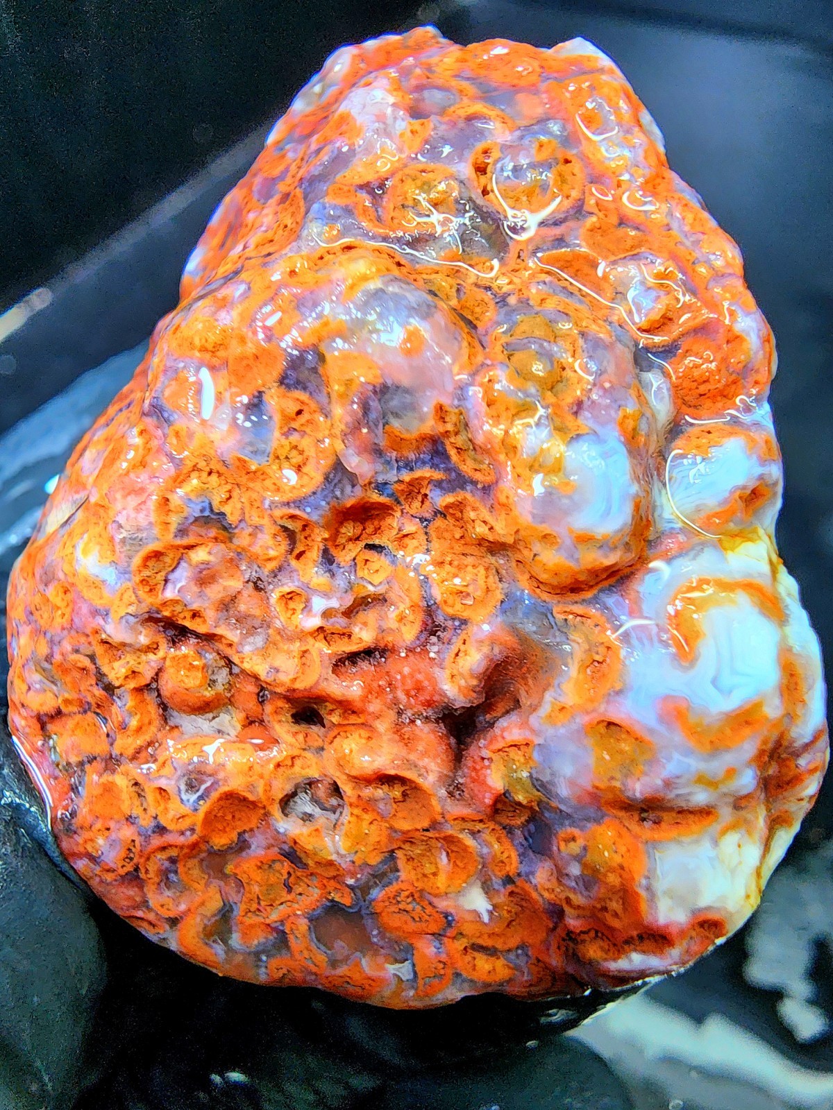 Rare Lake Superior Fragmented Membrane Agate In Blue Chalcedony 1.9oz