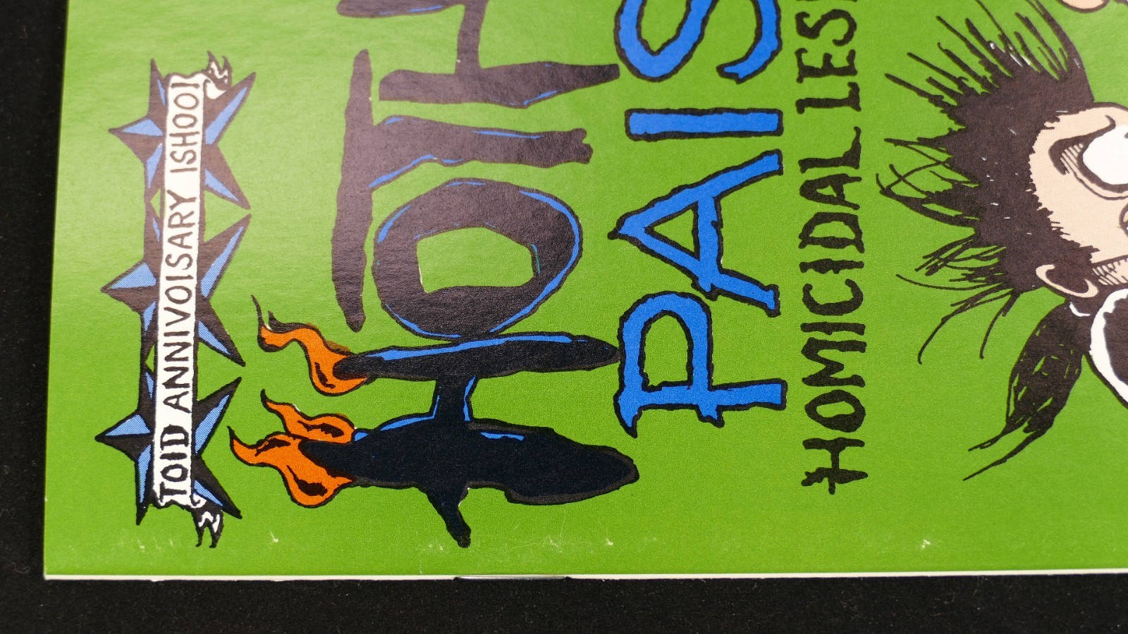 HOTHEAD PAISAN #13 Underground Comic -NEAR MINT- 1st Print RADICAL LESBIAN Comix