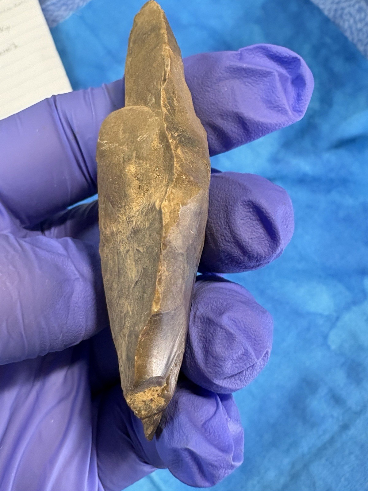 GUARANTEED Authentic Ancient TN Indian Artifact -Sharp Knife Tool- 3 3/16″
