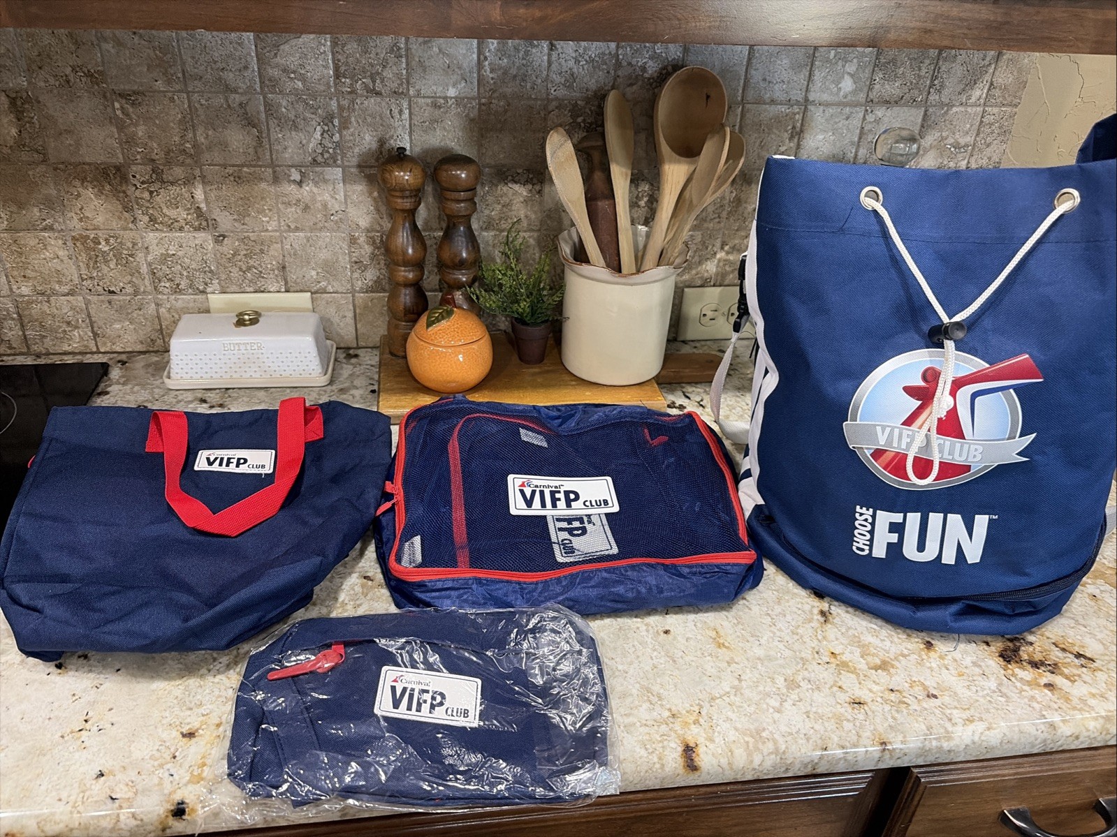 CARNIVAL CRUISE LINE VIFP CLUB TOTE DUFFLE BAG Misc Other Bags