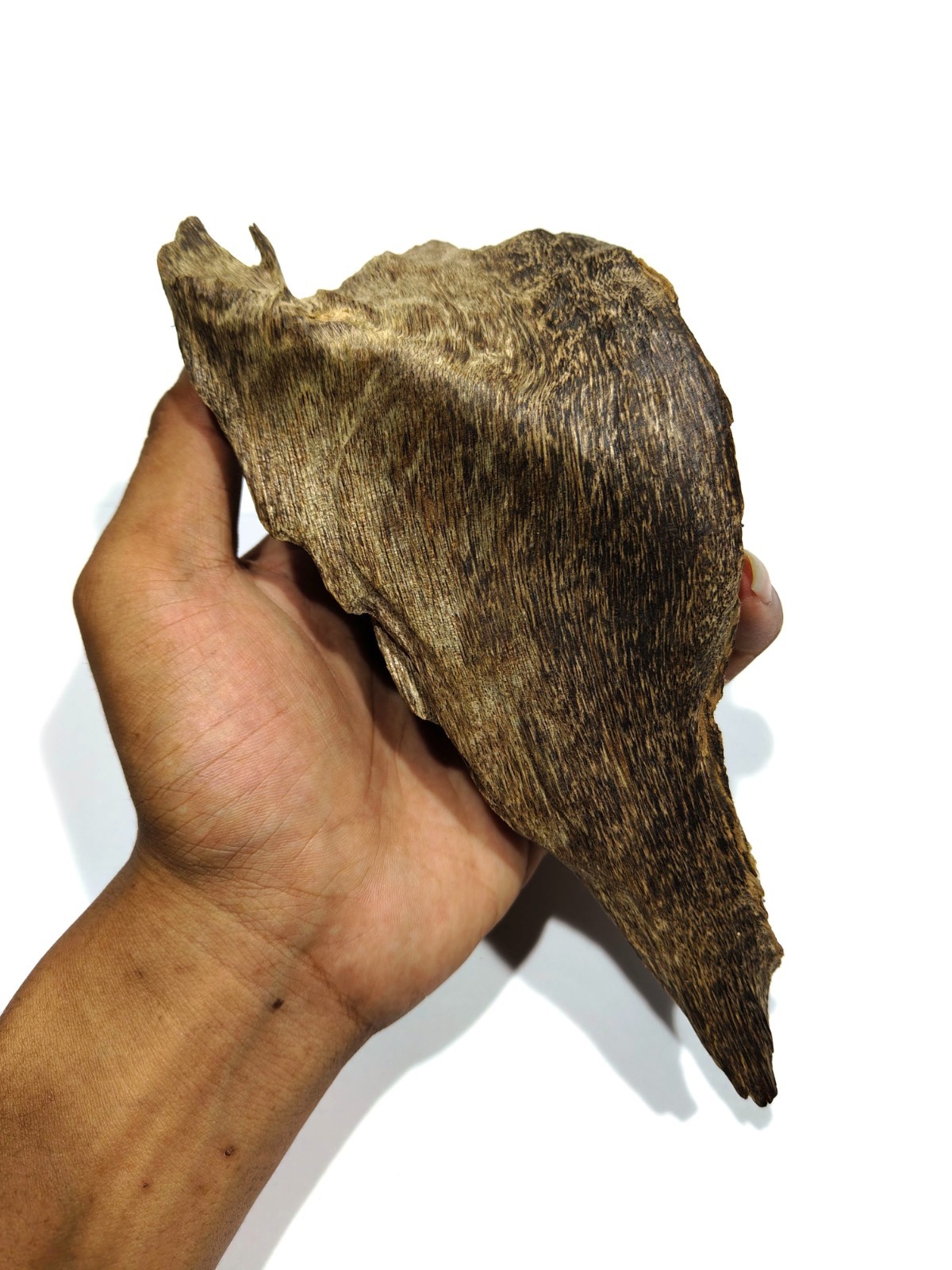 112gr 1 pcs Aquilaria malacensis agarwood strong aroma incense from Kalimantan