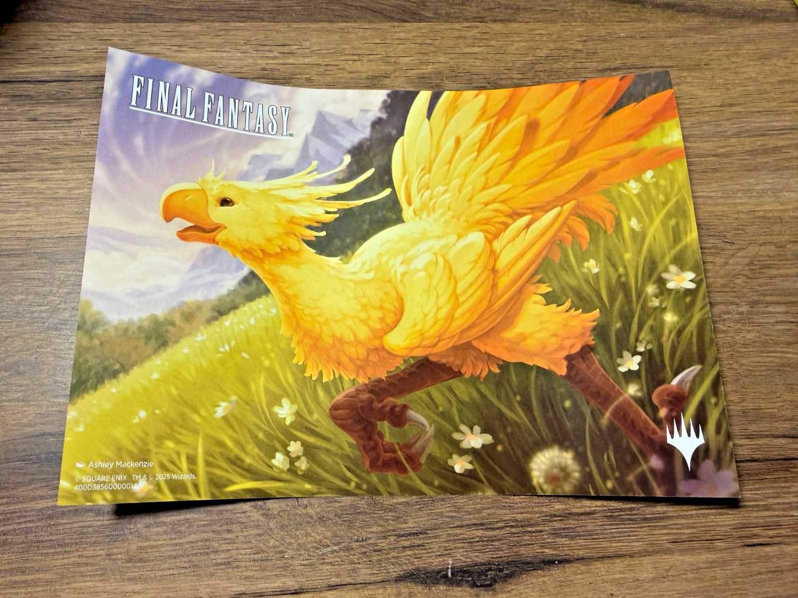 Magic MTG Final Fantasy Chocobo Bundle EMPTY Storage Deck Box + Poster Tokens L1
