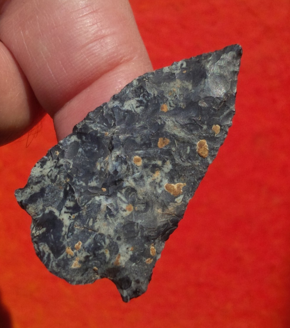 1-13/16 EVA BARBED OHIO ARROWHEAD Authentic Projectile Point AUTHENTIC ARROWHEAD