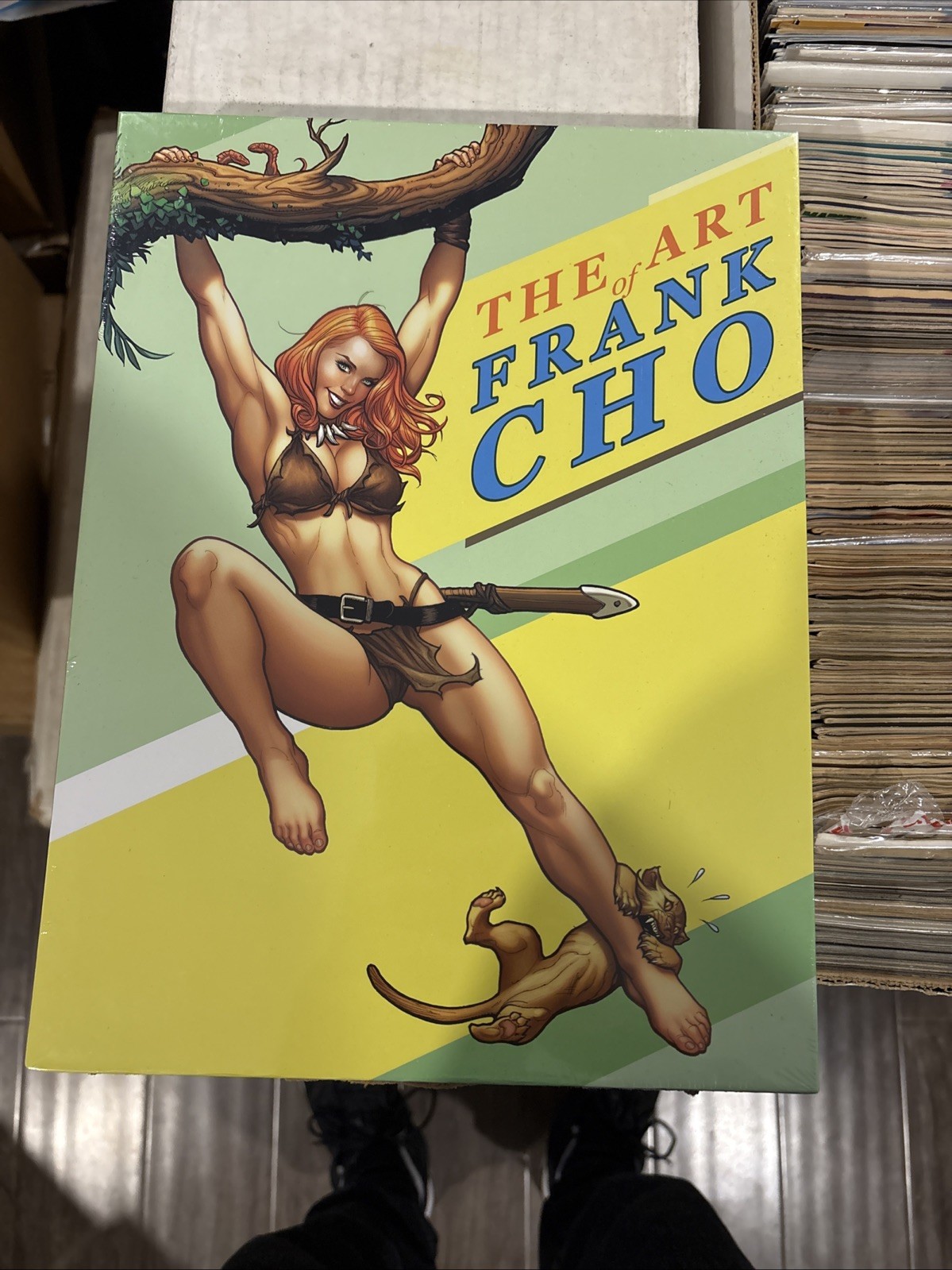 THE ART OF FRANK CHO HC SLIPCASE SEALED 20 YEAR RETROSPECTIVE FLESK RARE