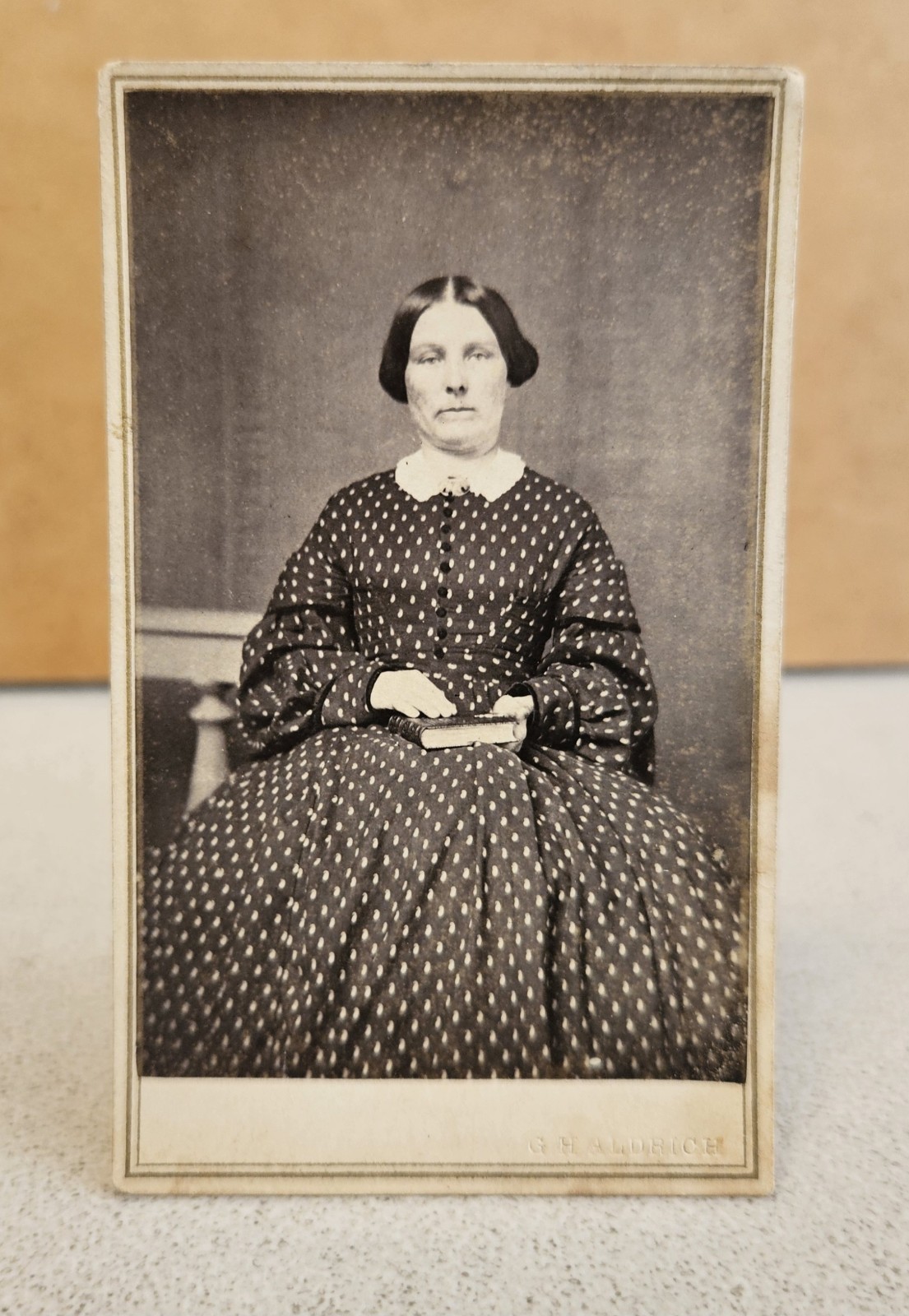 Antique CDV Photo SEATED WOMAN DOTTED DRESS Photograph by G.H. ALDRICH