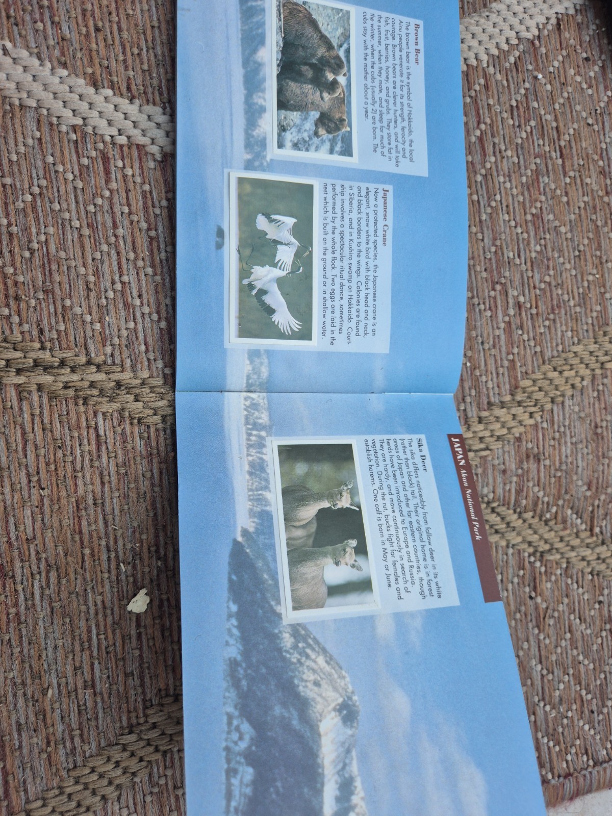 PG TIPS Vintage Natural Neighbours: Wildlife In Tea-growing Lands INCOMPLETE SET