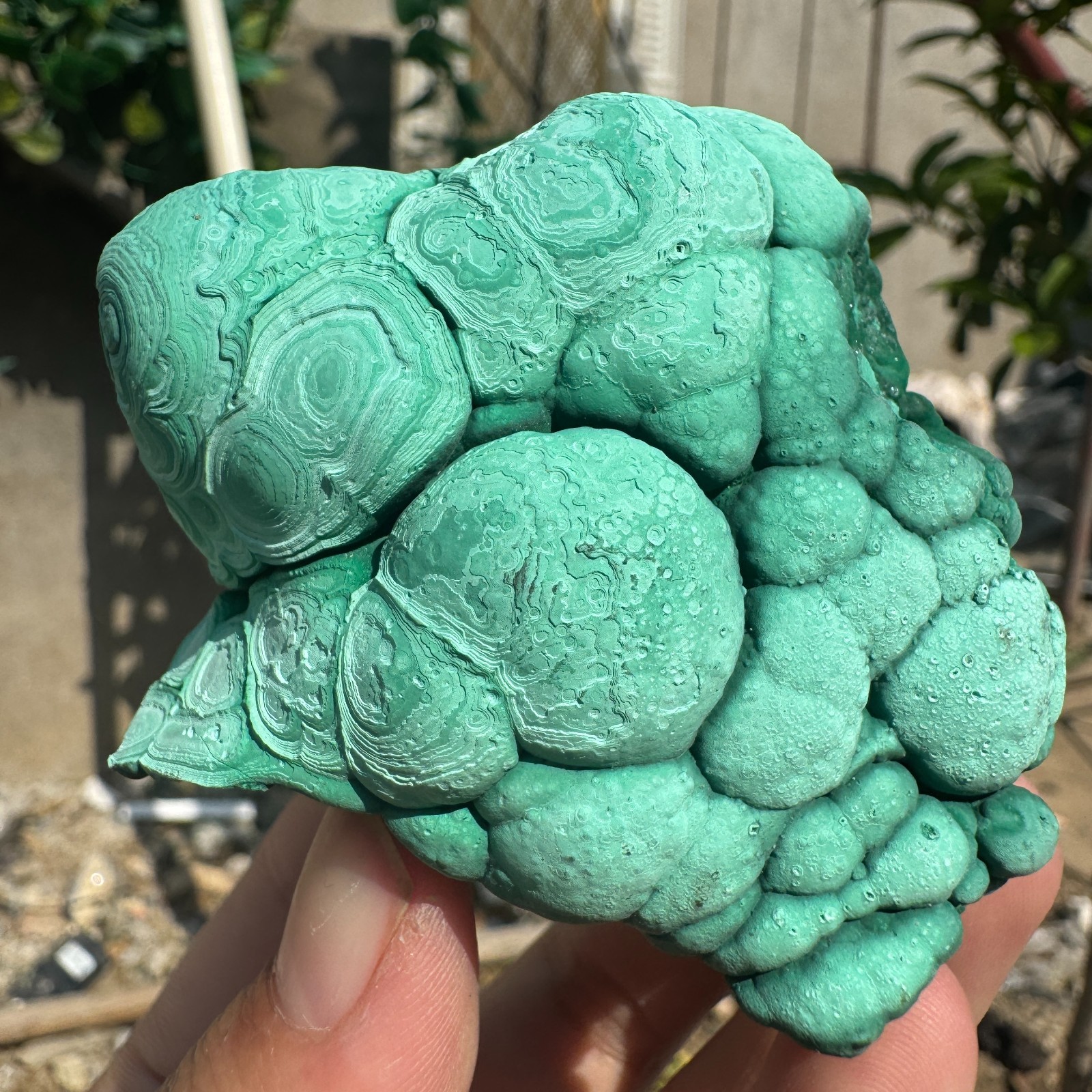 245G Natural Malachite crystal quartz Mineral Specimen Reiki congo