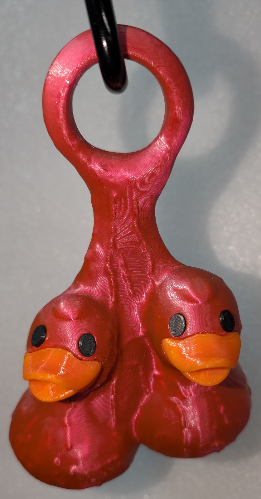 DuckNutZ