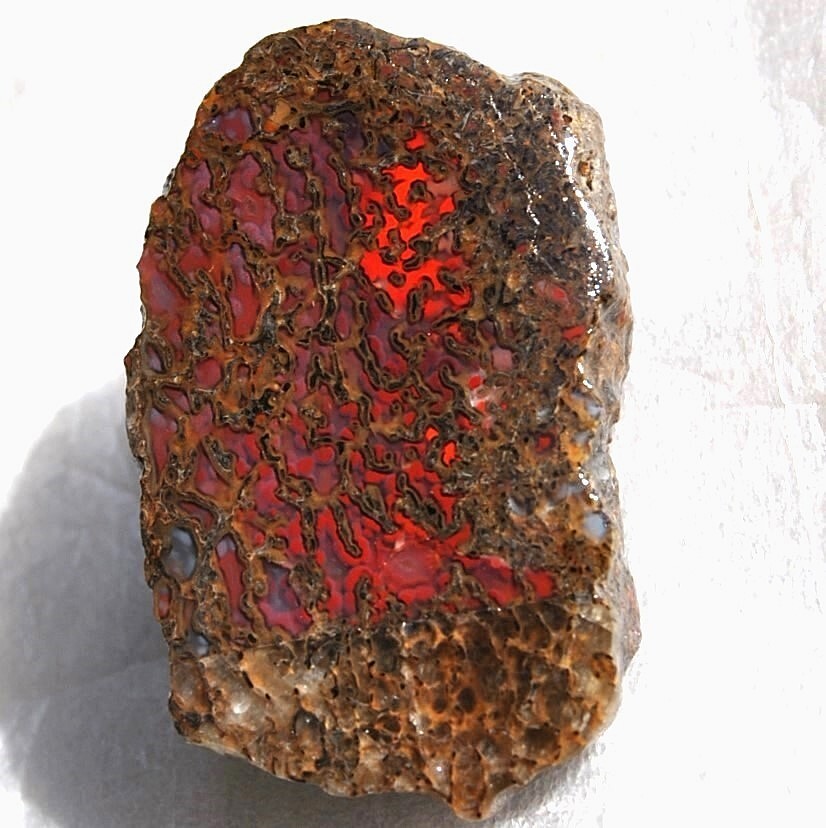Dinosaur “Rainbow Ruby Dragon” Fossil Healing Lucky Meditation Charm Stone 23gr