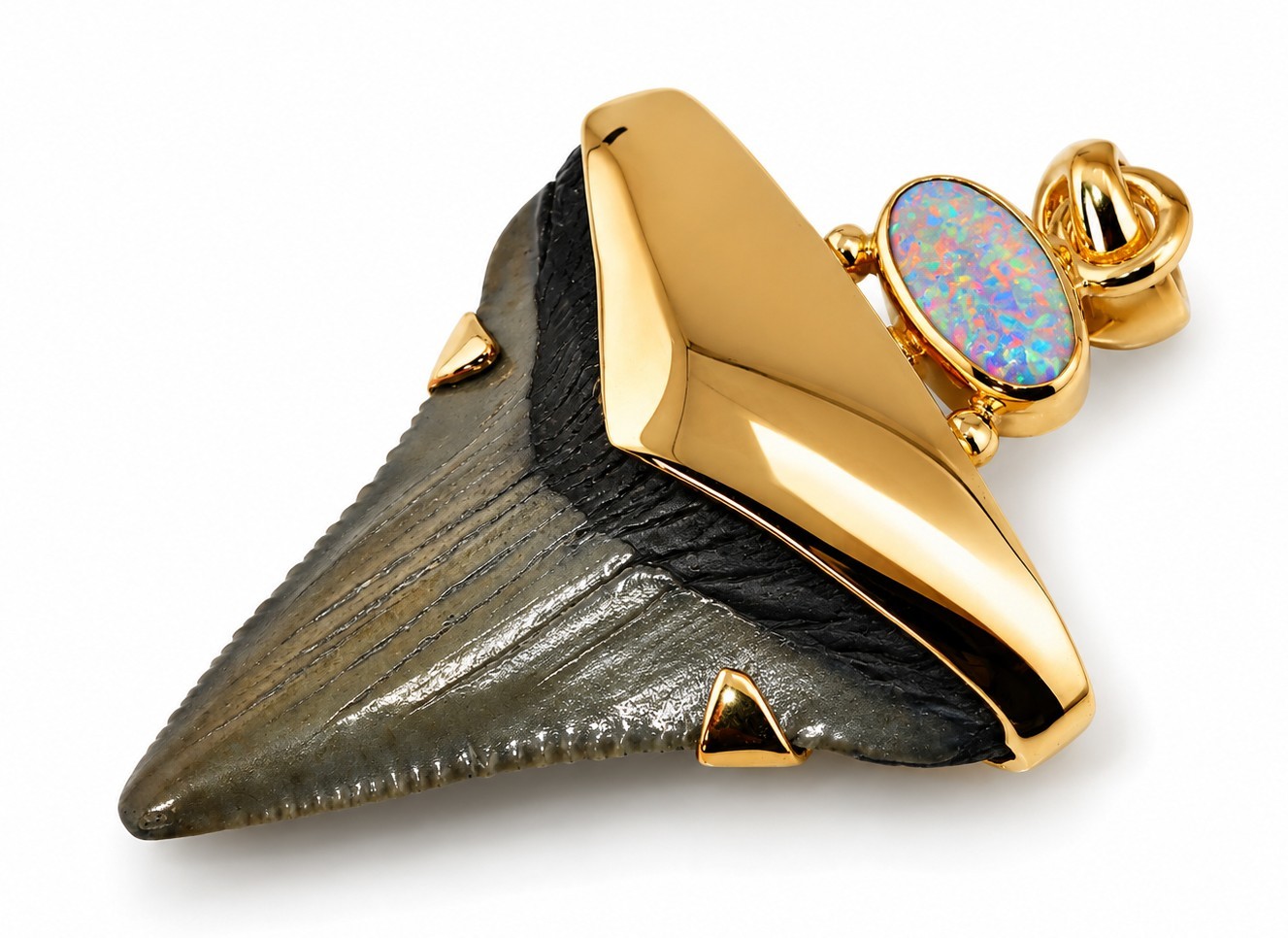 Fossil Shark Tooth Pendant – Megalodon Tooth with 24 K Gold Over Sterling Silver