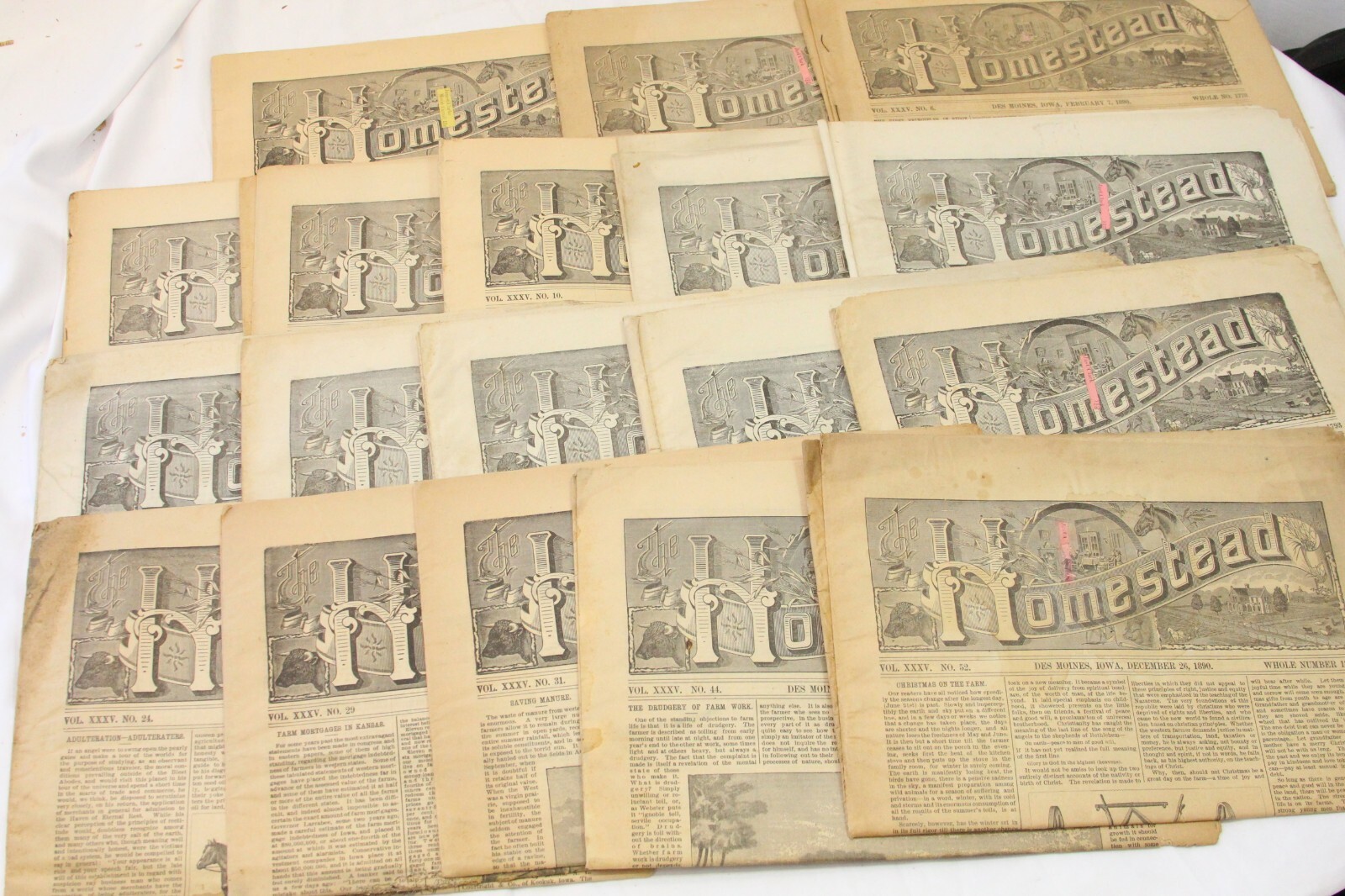 1889 – 1890 Homestead Newspaper Des Moines Iowa Agricultural Lot of 18