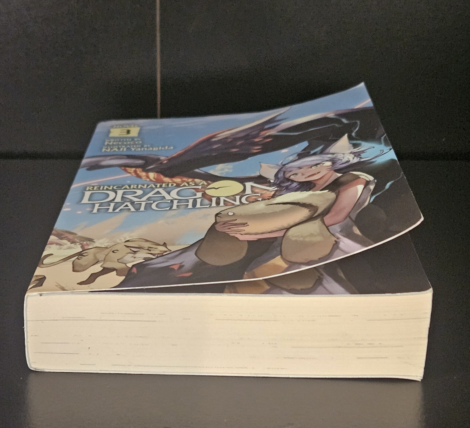 Reincarnated As a Dragon Hatchling Vol 3 Light Novel