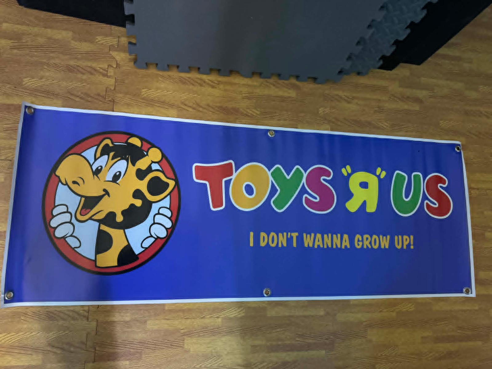 Vintage Toys R Us Vinyl Banner Sign “I Don’t Wanna Grow Up” Retro Kids Room Deco