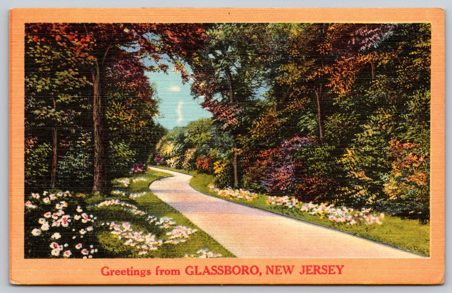 Glassboro NJ Park Path Vintage Postcard “NYCE” Quality Colored Landscape E173