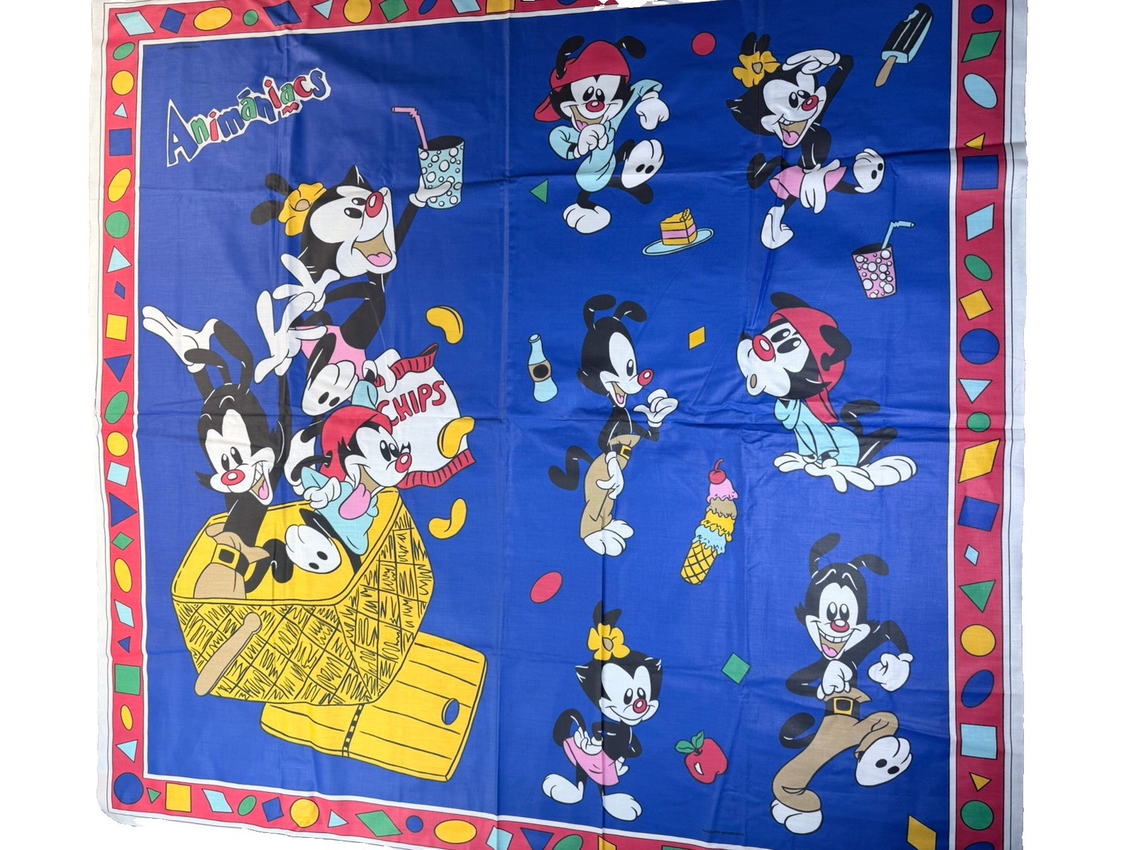 Vintage 1990s Animaniacs Warner Bros Fabric Panel 45×45 Cotton Yakko Wakko Dot