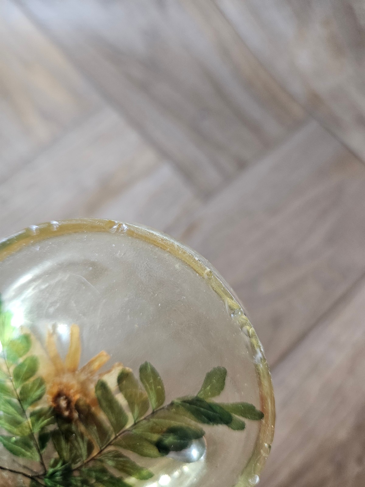Vintage Lucite Resin Acrylic Spoon Rest Dried Flower Daisy Lady Bug Retro Decor