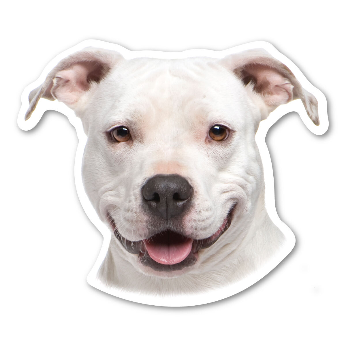 American Staffordshire Magnet