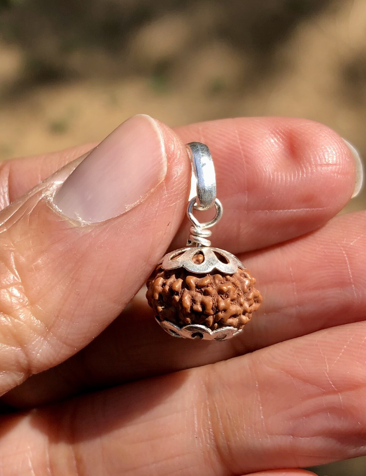 Lab Certified 925 Silver + 9 Mukhi RUDRAKSHA Rudraksh 9 Face Pendant, Original