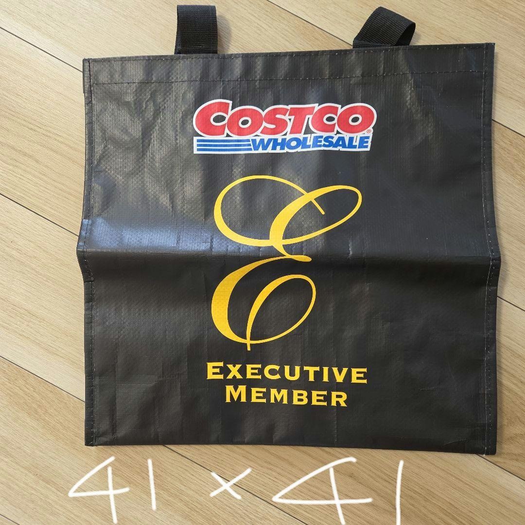 Costco Executive Member Shopping Bag Rare Ware House Model Limited Edition VHTF