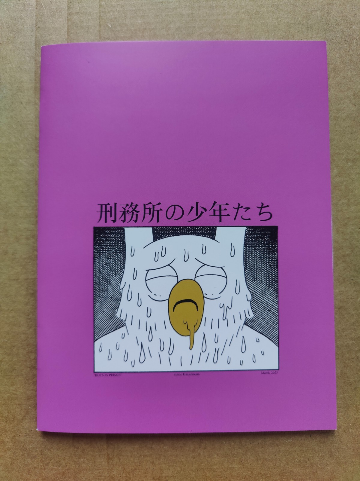 Boys In Prison By Simon Hanselmann 2025 Self Published Zine Megg Mogg Owl