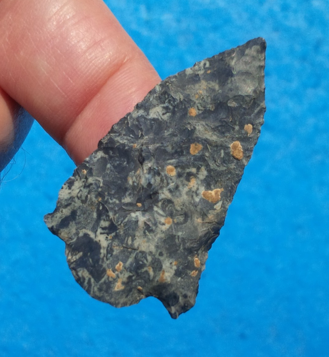 1-13/16 EVA BARBED OHIO ARROWHEAD Authentic Projectile Point AUTHENTIC ARROWHEAD
