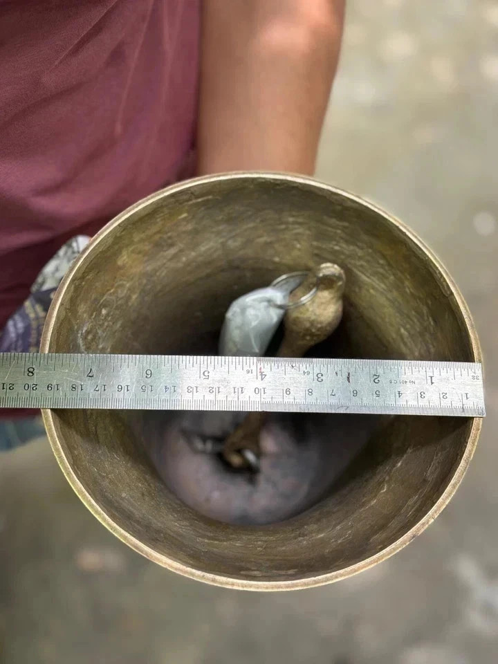 New 11″ Large Nautical Solid Brass Ship’s Bell Marine Maritime Wall Boat Decor