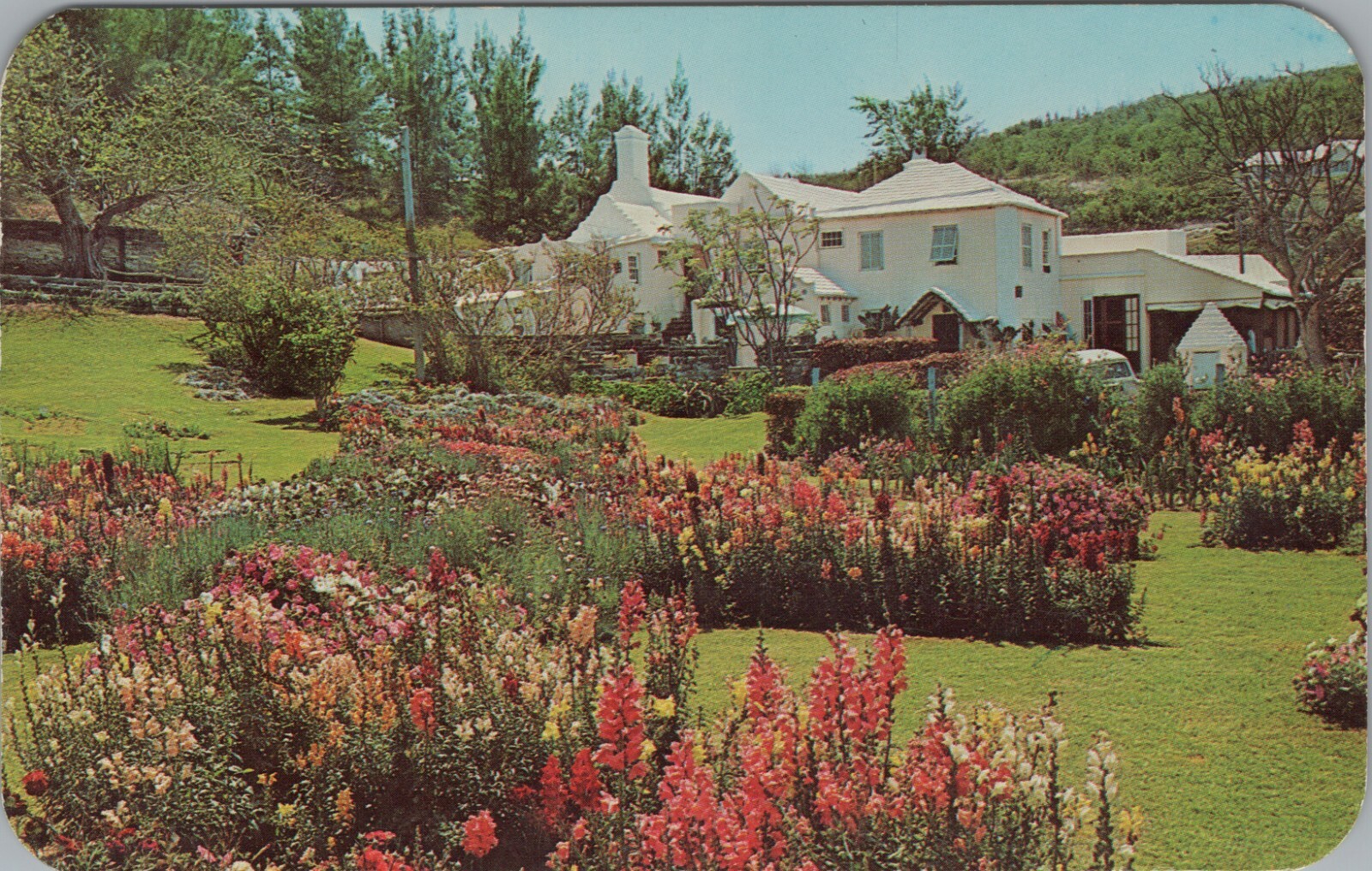 c1960s Waterlot Inn Southampton Bermuda garden exterior postcard A862