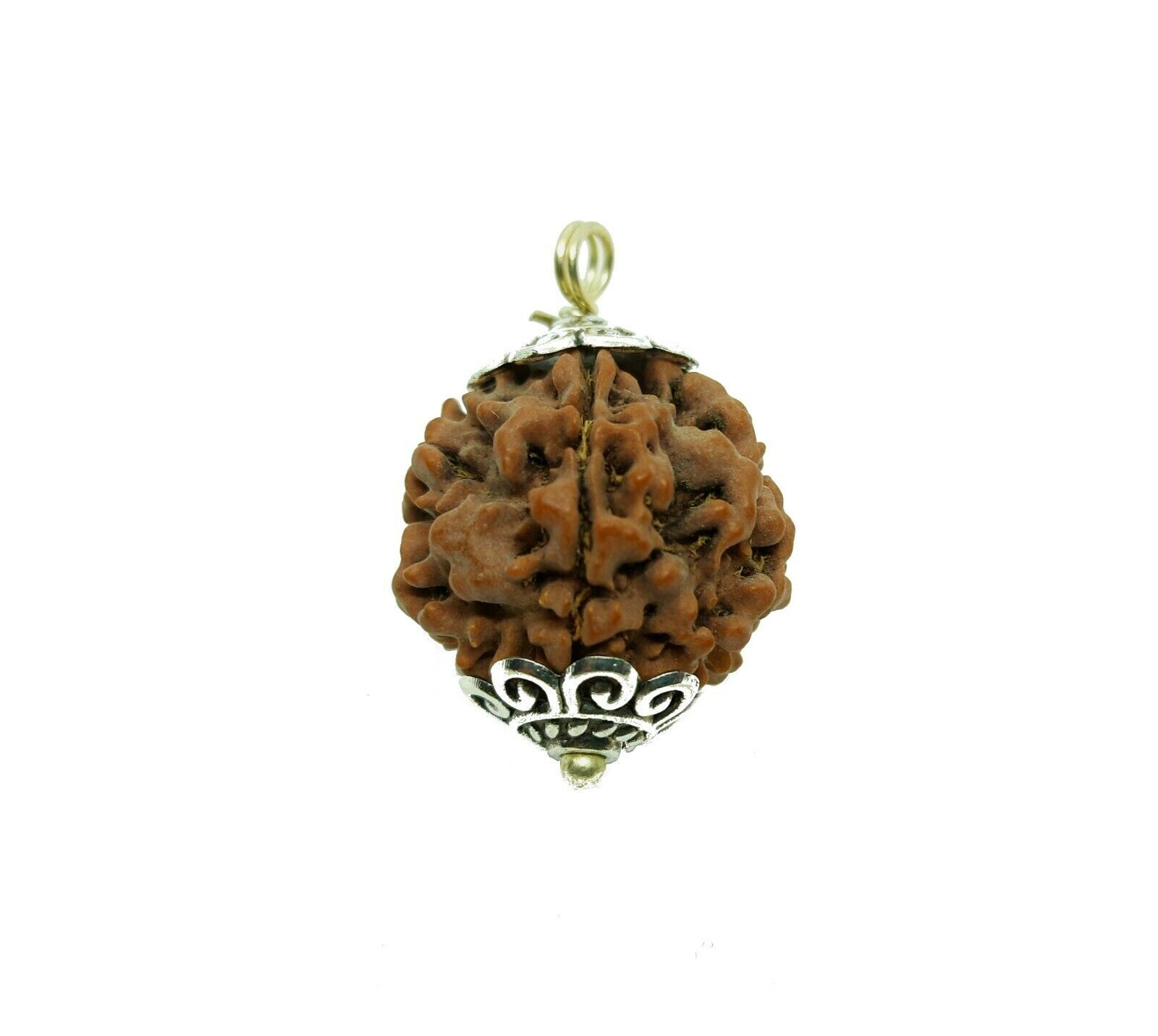 5 Face Rudraksha Pendant 5 Mukhi Real Rudraksh Necklace Nepal Origin Energized