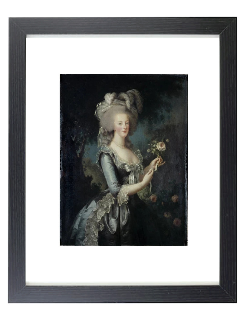 MARIE ANTOINETTE FRENCH QUEEN Classic Art Reprint Matted & Framed Photo Picture