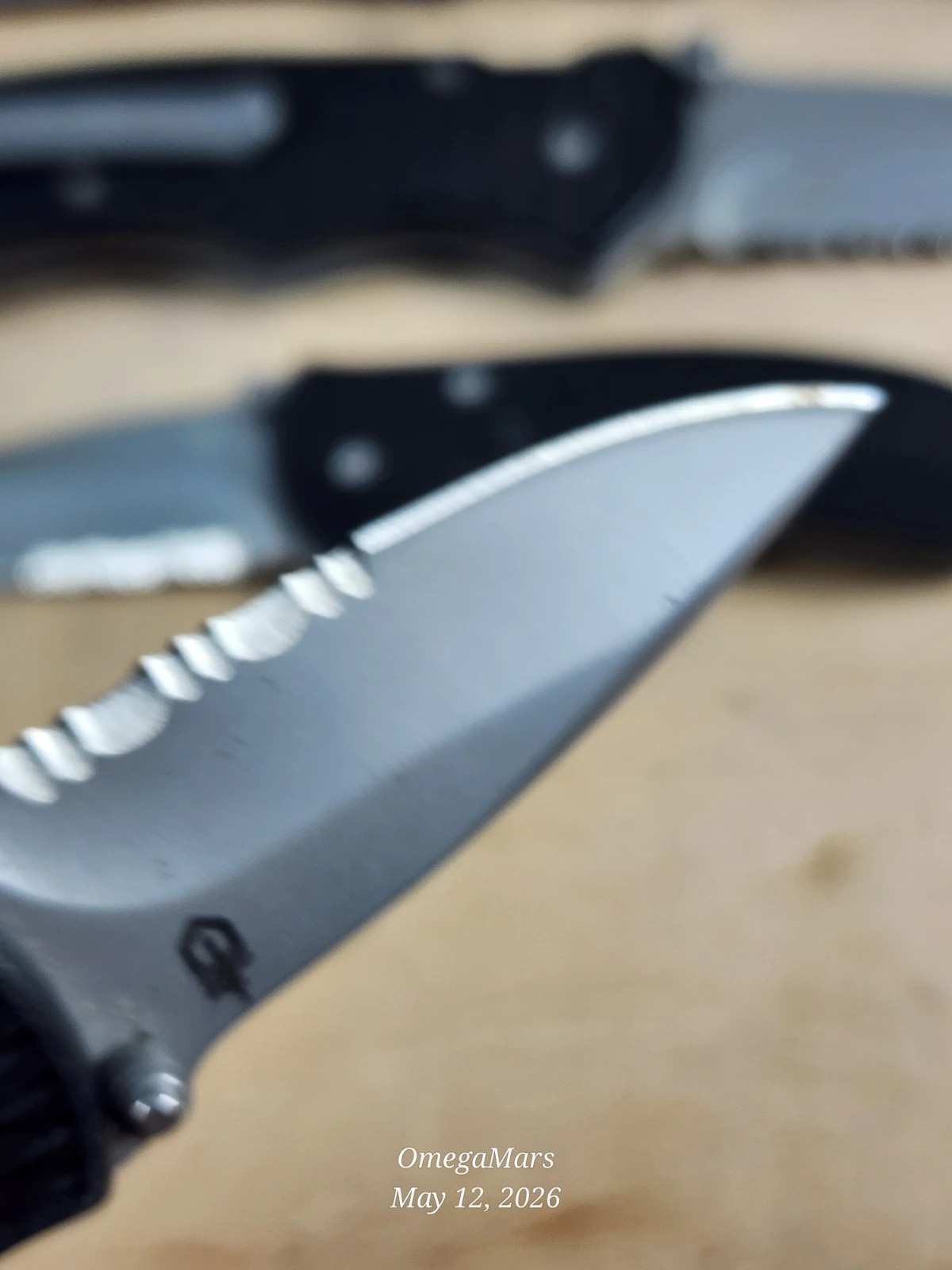 Gerber FAST Draw – Assisted Open Combo Edge Folding Pocket Knife!