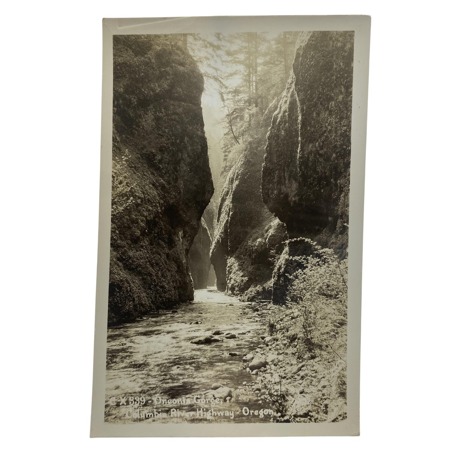 Vintage Oneonta Gorge Columbia River Highway OR RPPC Real Photo Postcard USA