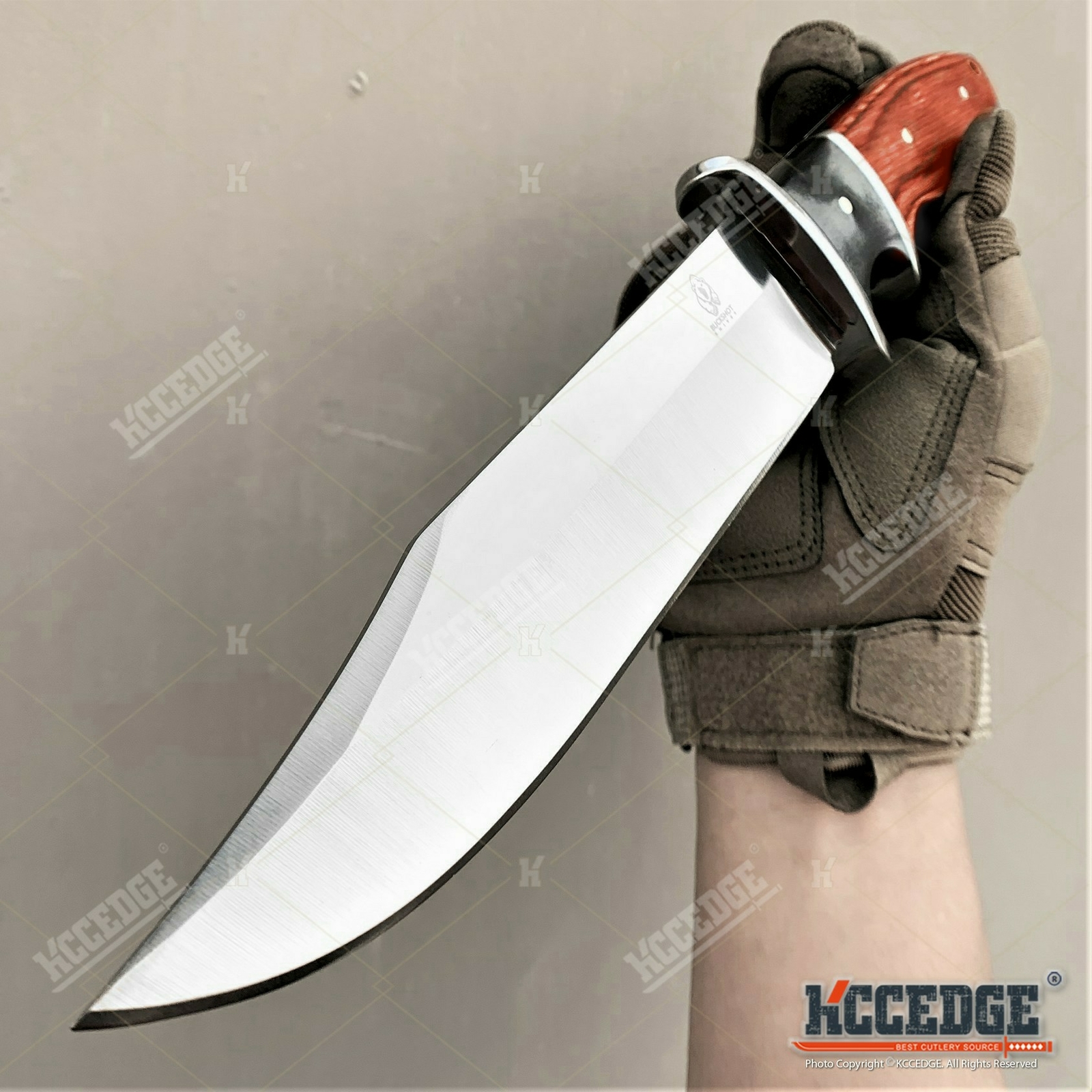 11″ Full Tang Fixed Blade Knife Razor Sharp Bowie Bushcraft EDC Emergency Knife