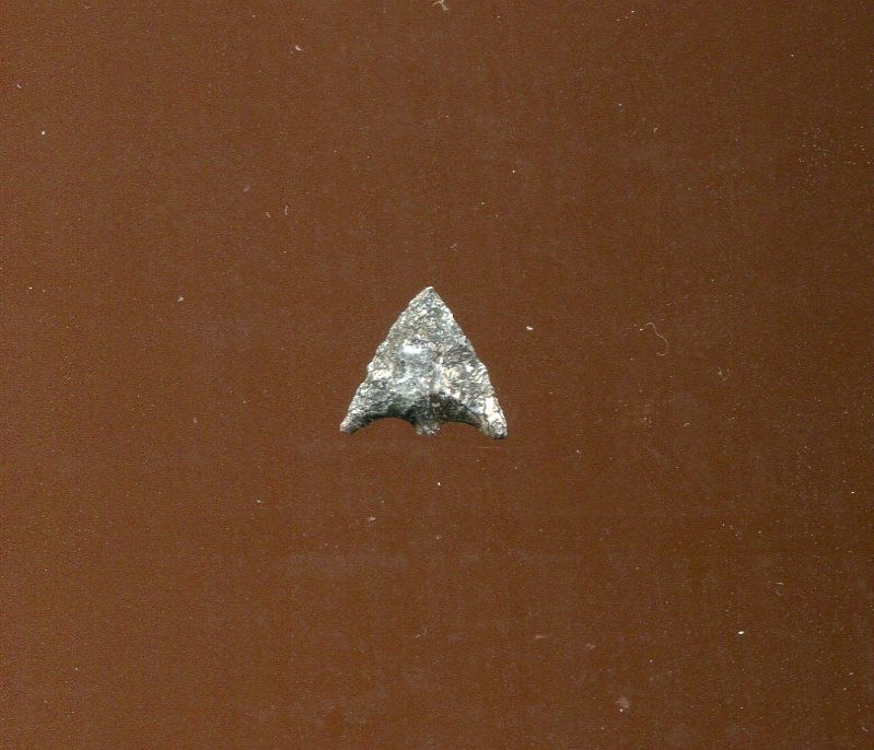 BATWING MINI ROGUE RIVER POINT – JACKSON COUNTY, OREGON – EX JEB TAYLOR – F23