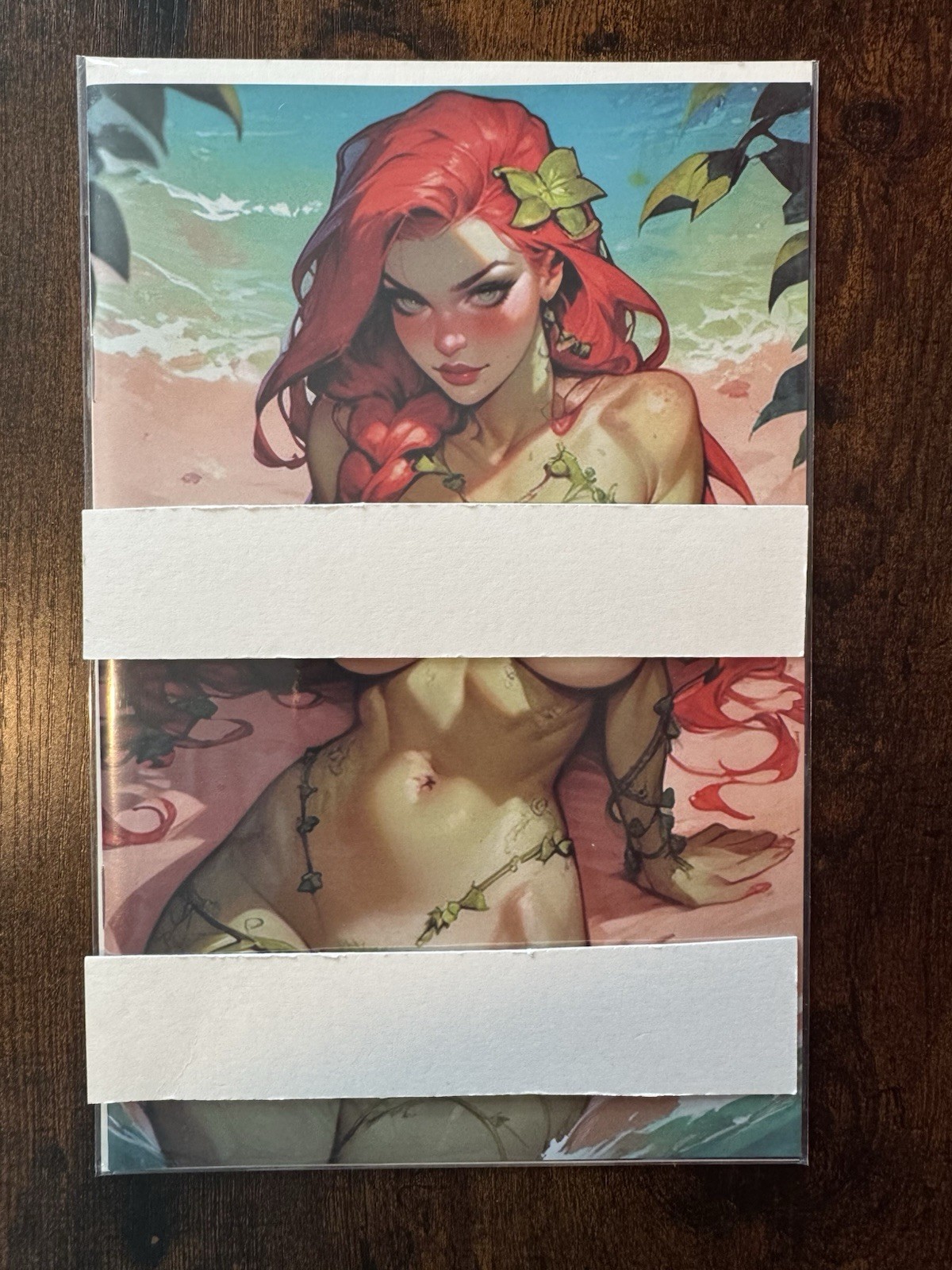 Keys Comics Artbook Poison Ivy Beach Naughty Front & Back Covers