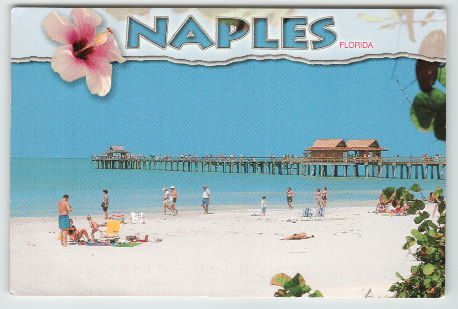 Continental Postcard Beach Scene at Naples, FL.
