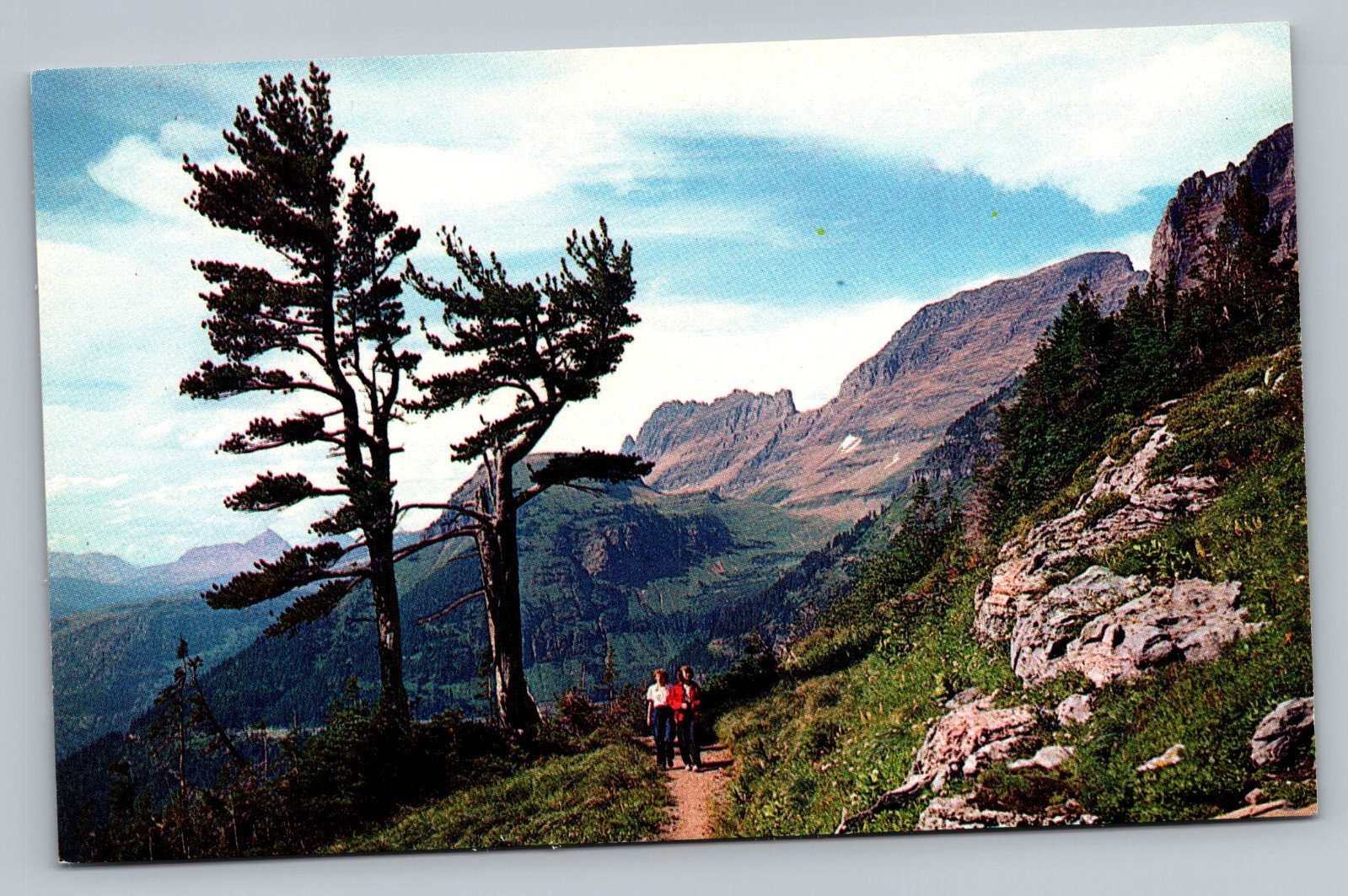 Scenic Highline Trail Near Logan Pass Montana Vintage Postcard