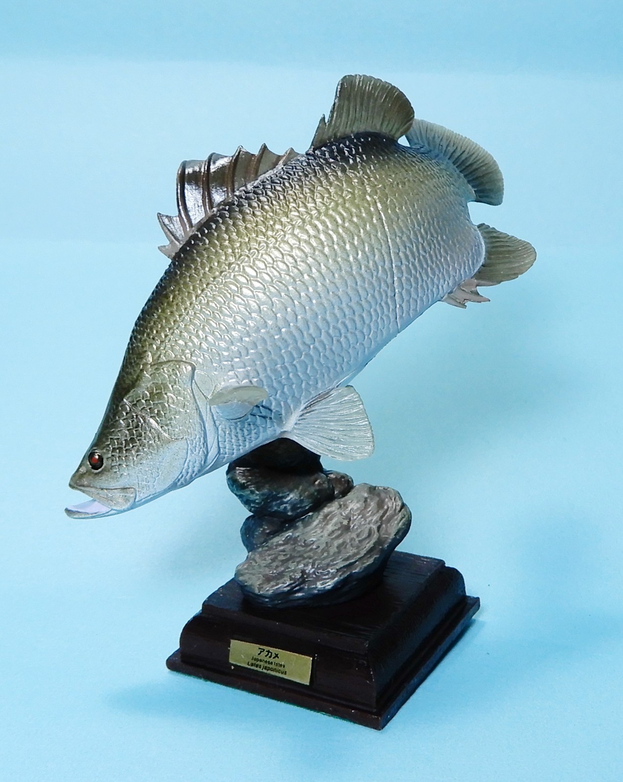 Kitan Club Nature Techni Colour Clear Streams in Japan Japanese lates fish New