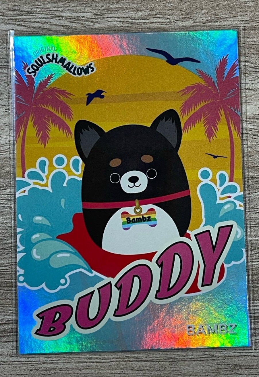 Squishmallows Buddy Squad 2025 Adela Bambz Bobzi Calton Heidi – Mint Condition