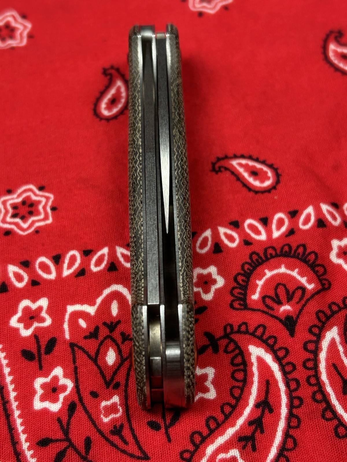 Benchmade Weekender 317-1 Slipjoint Pocket Knife Perfect Light Camping Option!