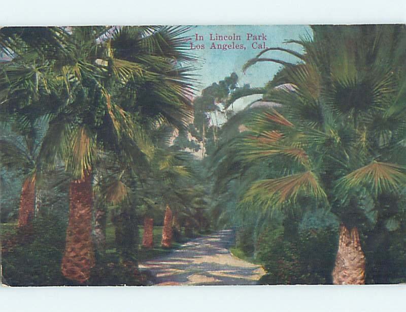 Unused Divided-Back PARK SCENE Los Angeles California CA hk8845