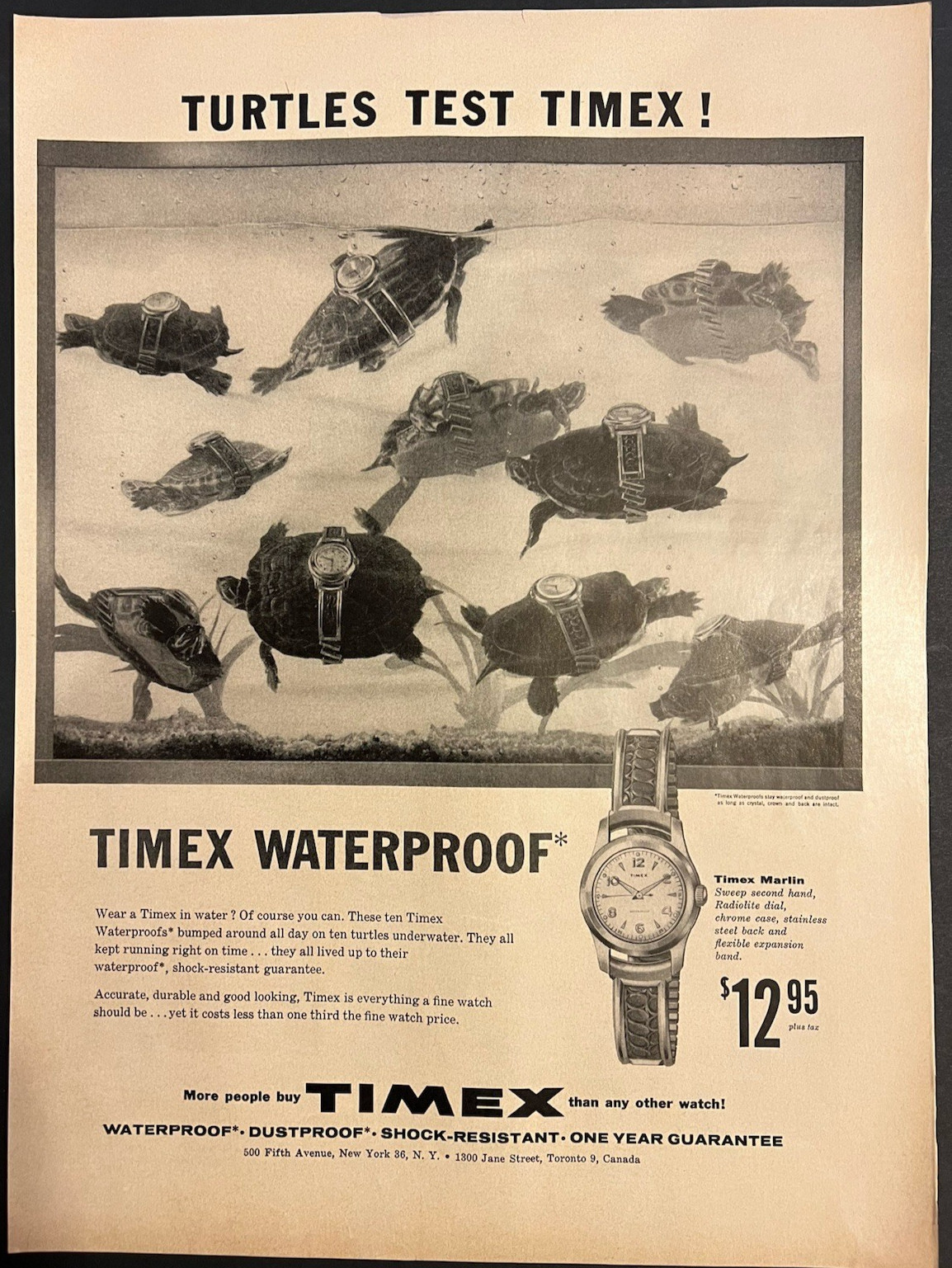 Vtg 1950s AD Timex Watches-Turtles Test Timex Waterproof Marlin-Dustproof