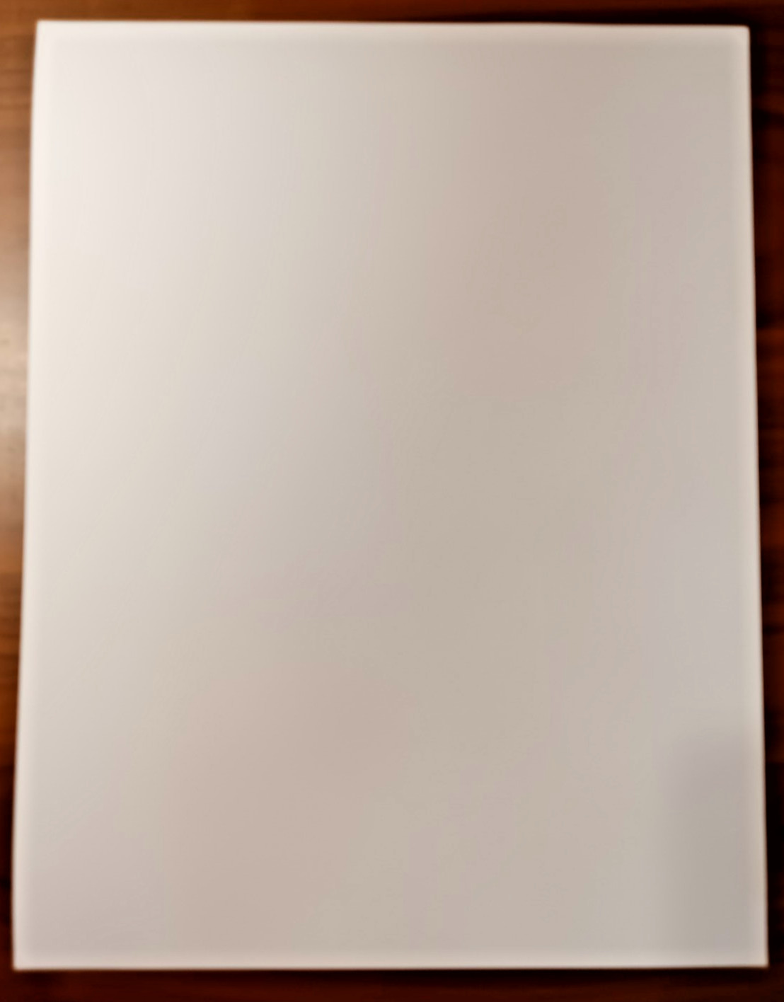 ElfQuest Stargazer’s Hunt Art Print signed Wendy Pini Richard Pini Warp Graphics