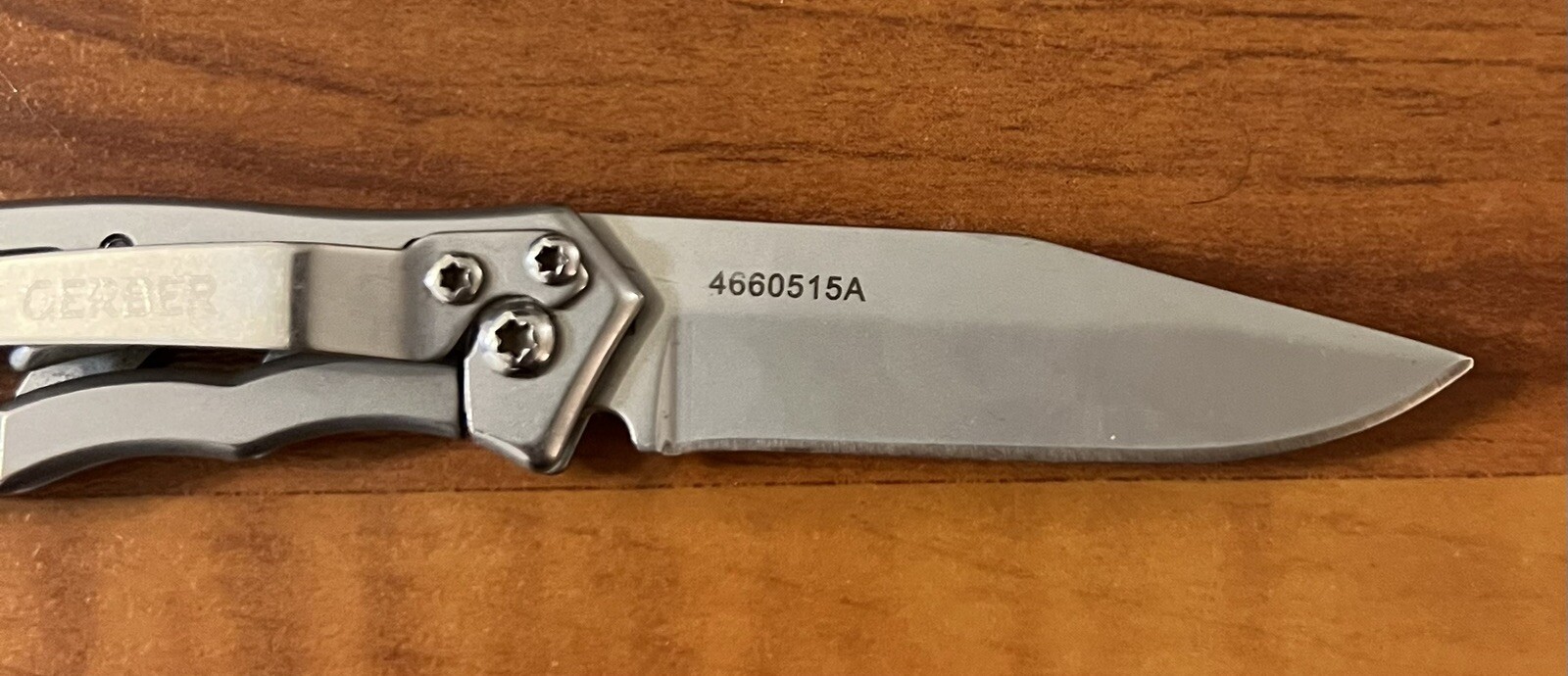 Gerber Mini Paraframe Combo Edge FoldIng Knife 4660420A