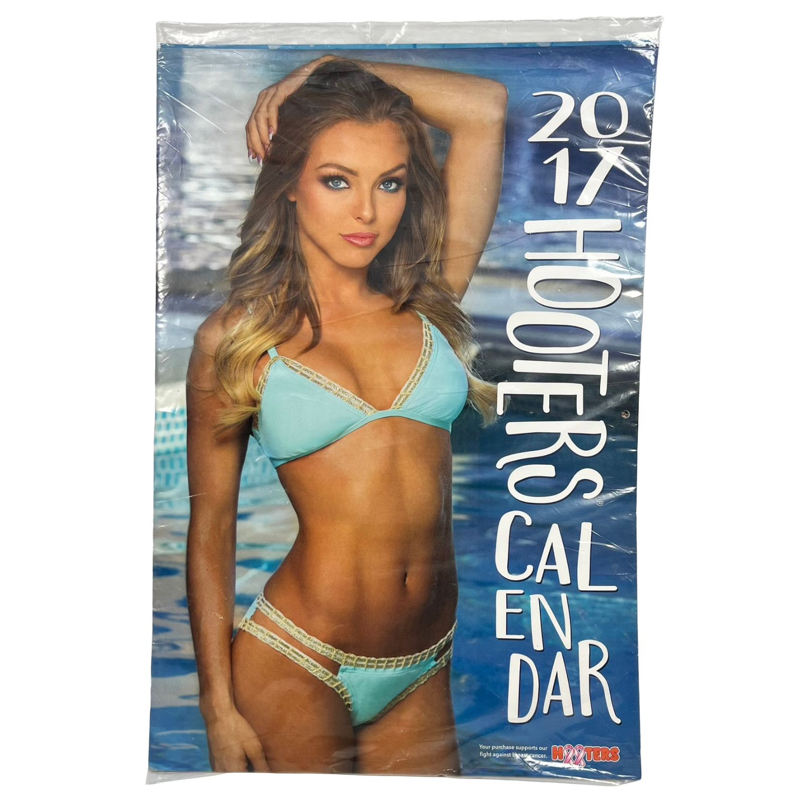 2017 Hooters 12-Month Calendar Girls of the Northeast Swimsuit Models New Sealed