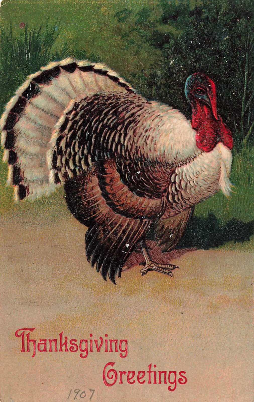 VINTAGE PFB THANKSGIVING POSTCARD BIG TOM TURKEY 1907 100923 S