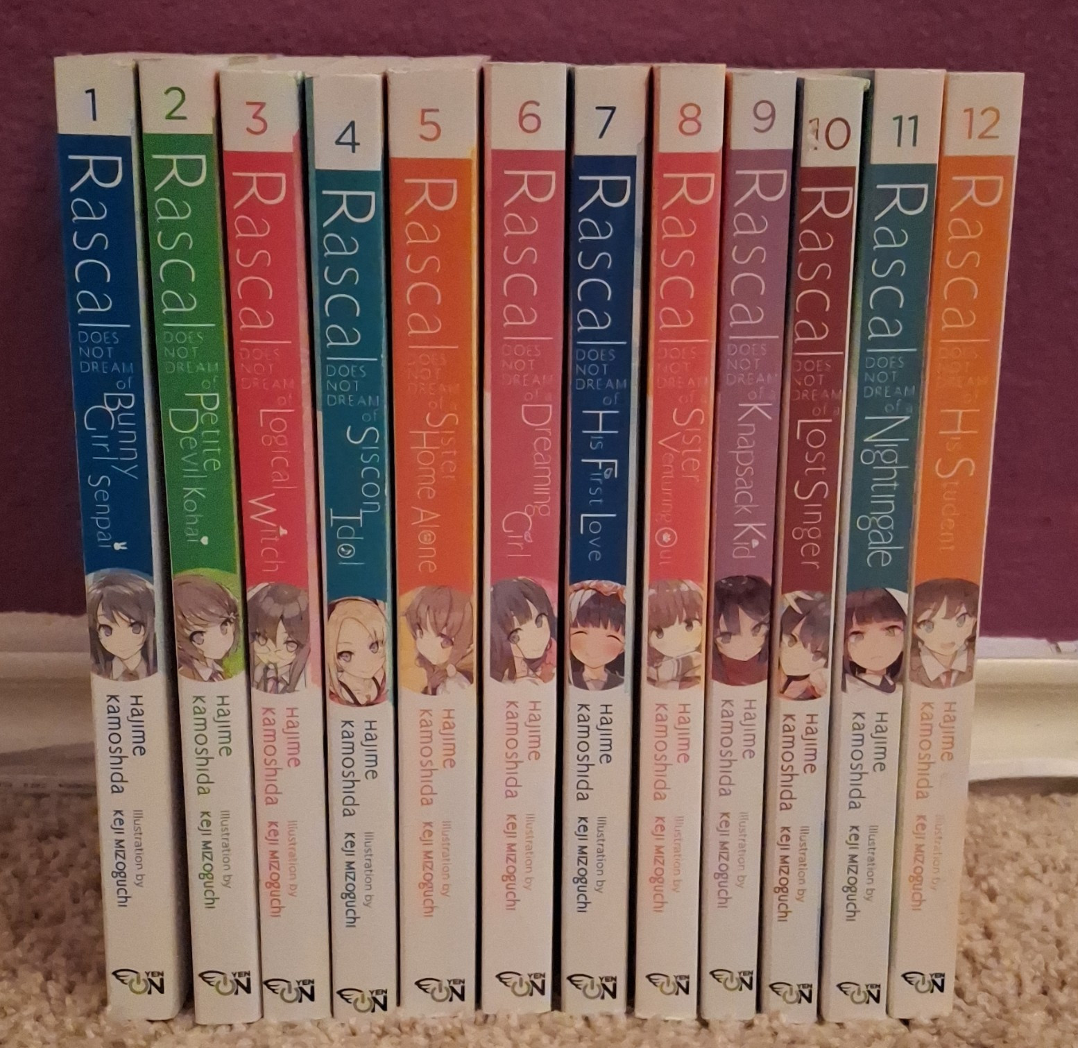 Rascal Does Not Dream Light Novel Lot Vol 1-12 English Softcover
